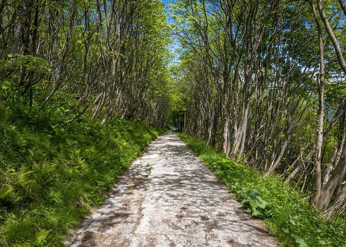 Casa de Férias Residenza La Parusciola Pool And Relax - Happy *